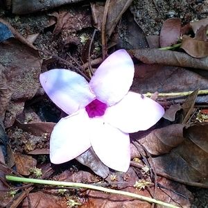 Meet your Posher, Coco